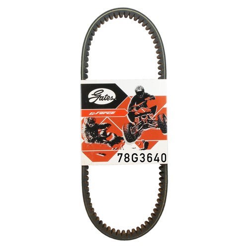 Cinghia trasmissione gates cvt - trasmissione,
