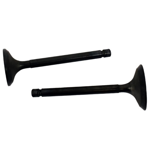 Coppia valvole motore yamaha - valvole,