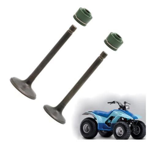 Kit valvole guarnizioni - valvole, +